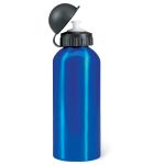 Пляшка для напоїв BISCING 600 мл, KC120304